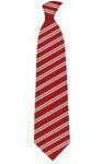 school Tie1